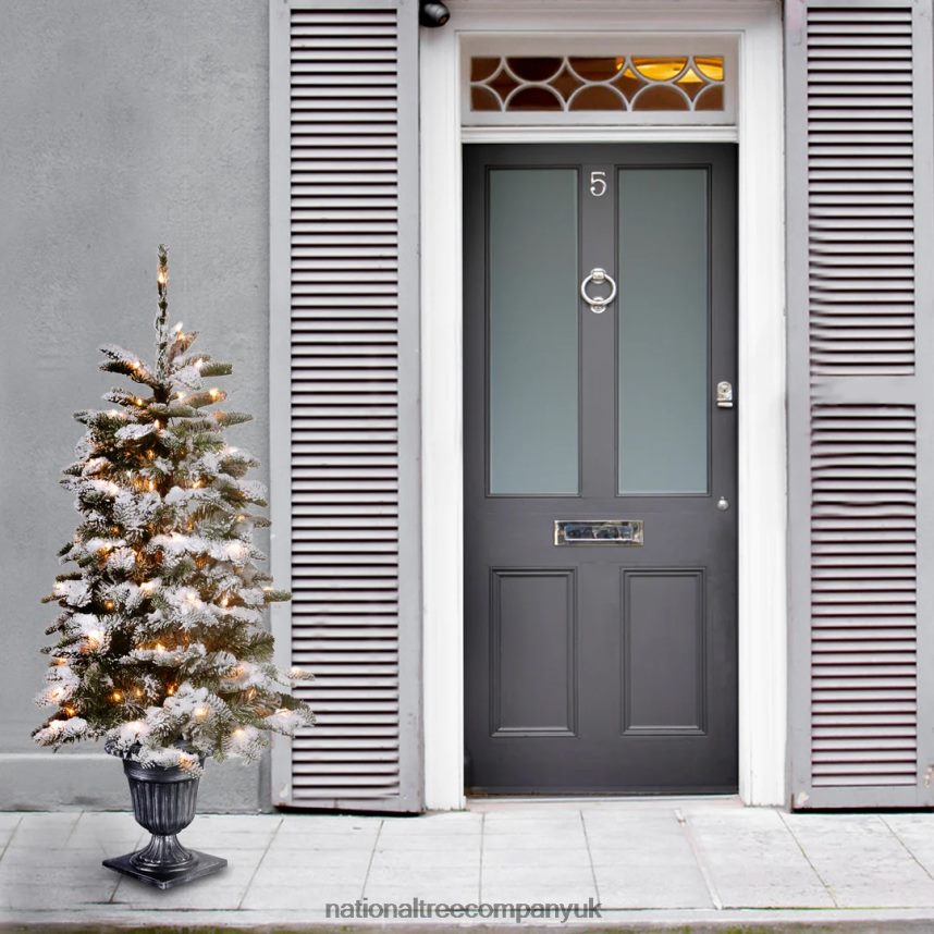 Trees | National Tree Company Pre-Lit Artificial Entrance Christmas Tree Snowy Camden Green White Lights Includes Metal Base 4 Feet F2L4F149